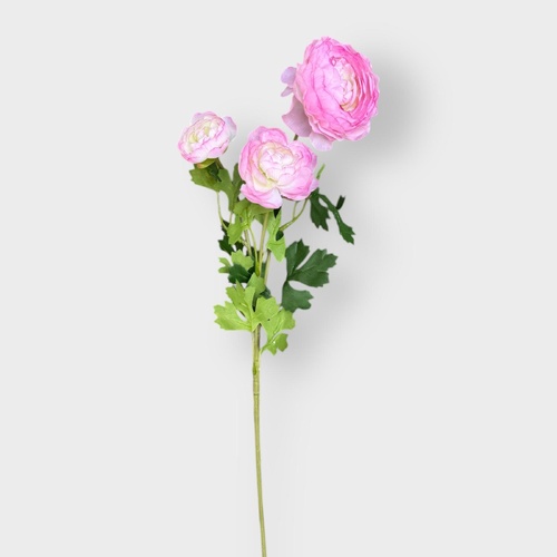 3H Ranunculus Spray HF3876L-PNK