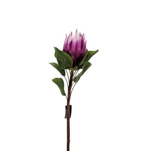 Single Protea HF3880 Purple