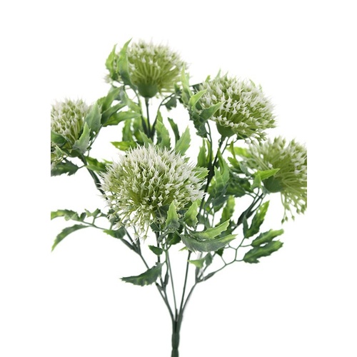 Gumnut bunch HF3920-CRM