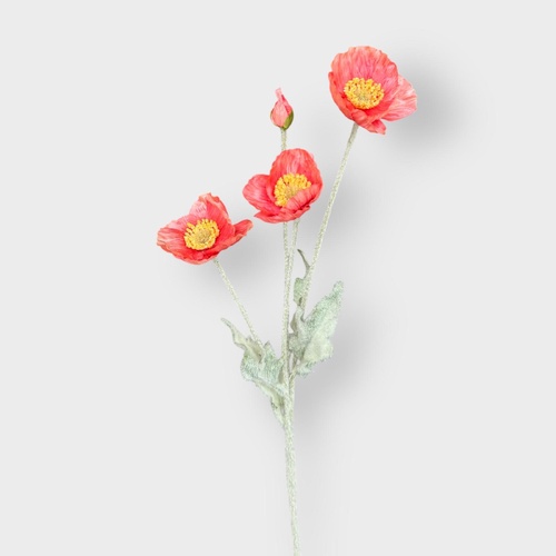 4H Poppy Stem HF3948COR