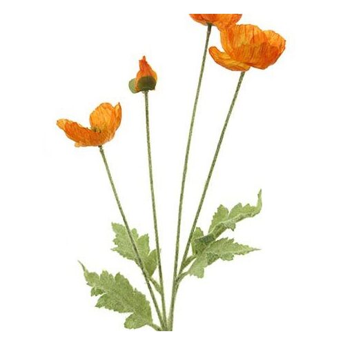 Poppy Spray x 4 heads HF3948ORG