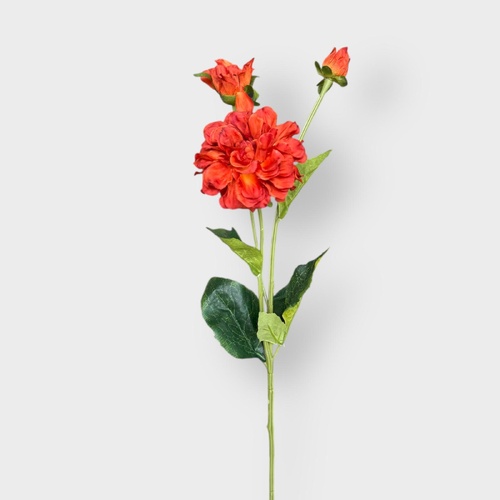 3H Zinnia stem HF3951RED