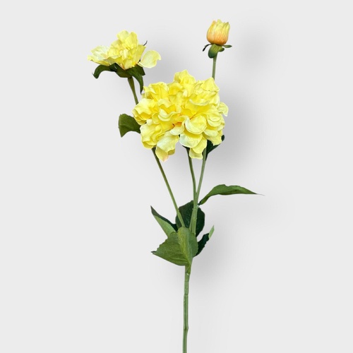 3H Zinnia stem HF3951YEL
