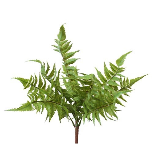 RIVER FERN BUSH HF3970GRN