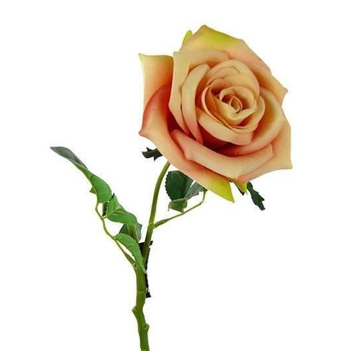 Single Flannel Rose HF4432-PCH