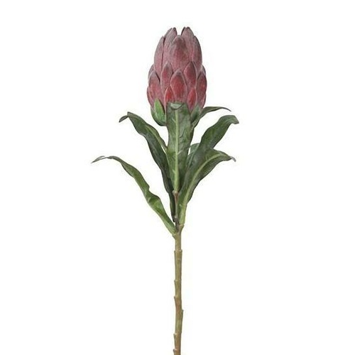 Protea Bud Stem HF4467-RD