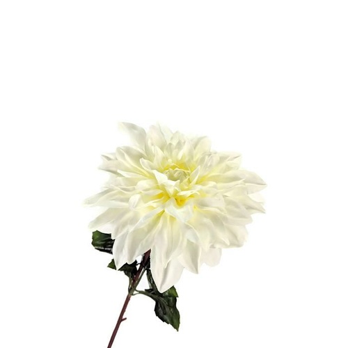 Single Dahlia HF4474