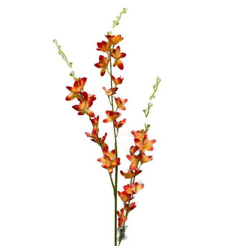 Star Orchid Spray HF4512-OR
