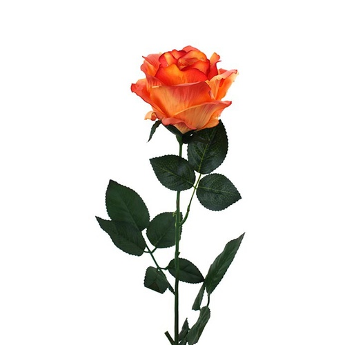 ROSE HF4513-OR