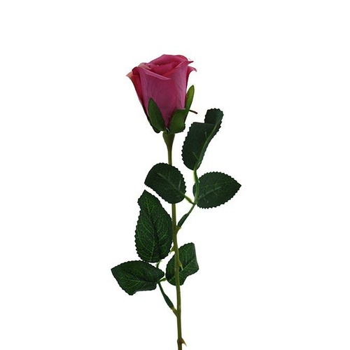 Valentine Rose HF4520-PNK