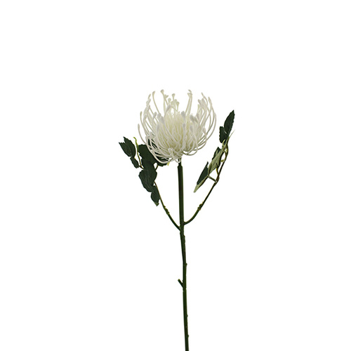 PINCUSHION HF4538-WH