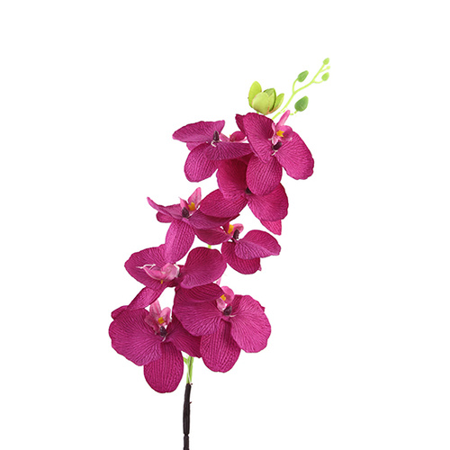 8H Phalaenopsis Orchid HF4545-MAG