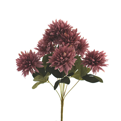 Chrysanthemum bunch HF4546MAU