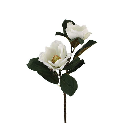 Magnolia Spray Hf4560-wh