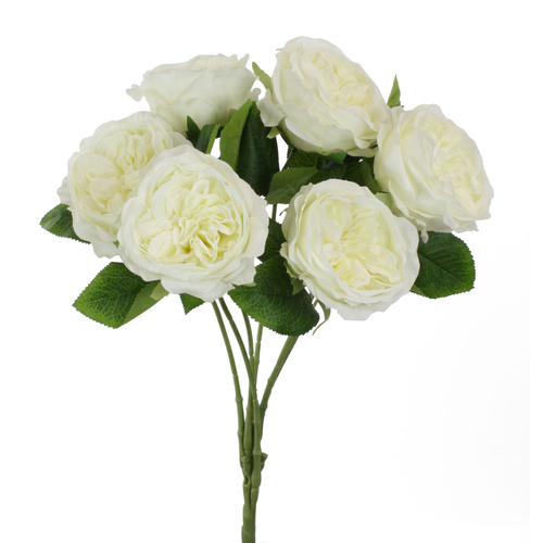 David Austin Bunch HF4599-CRM