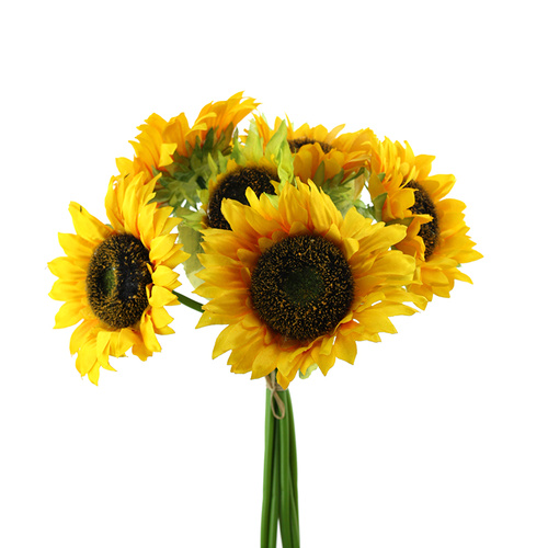 SUNFLOWER BUNCH HF4640