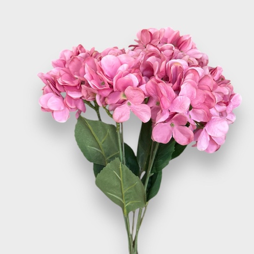 Hydrangea Bunch HF4647-DPNK