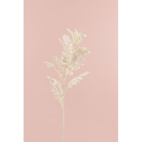 Dusty Miller Spray HF4680-CR