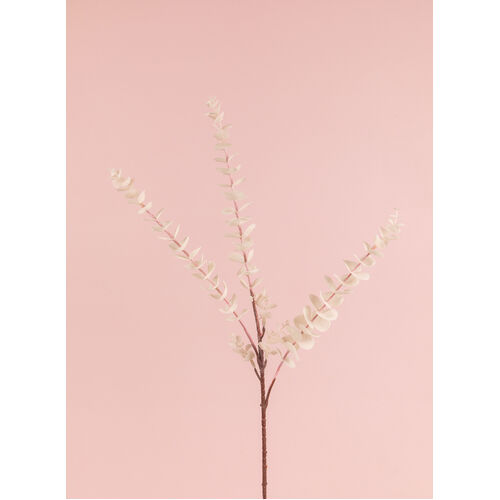 Eucalyptus Spray White HF4685-WH