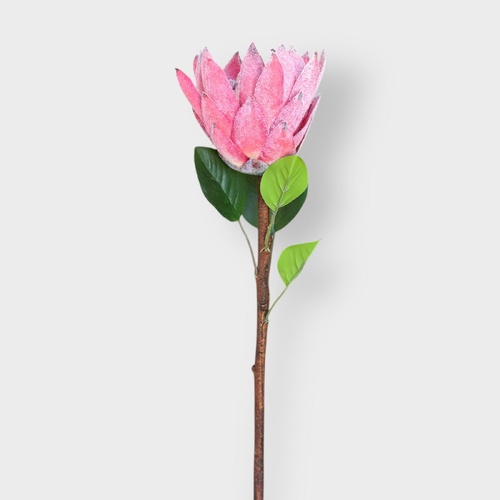 Prince Protea HF5007PNK