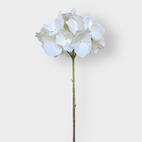 Hydrangea Stem HF5020CRM