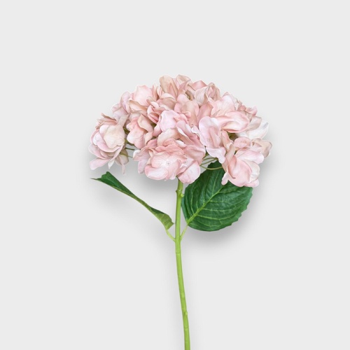 Real touch Hydrangea HF5059NUD