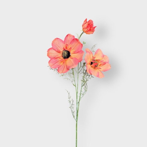 Large Cosmos Spray HF5064ORG