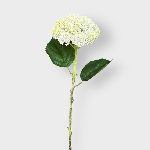 Seedling Stem HF5073CRM