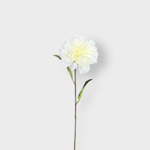 Dahlia stem HF5103CRM