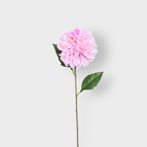 Dahlia stem HF5103PNK