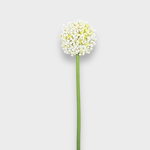 Allium Spray HF5112CRM