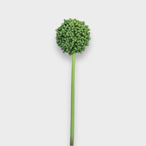 Allium Spray HF5112GRN