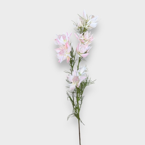 Blushing Bride HF5133PNK