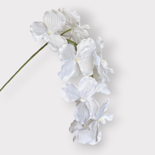 Vanda Orchid HF5157WHT