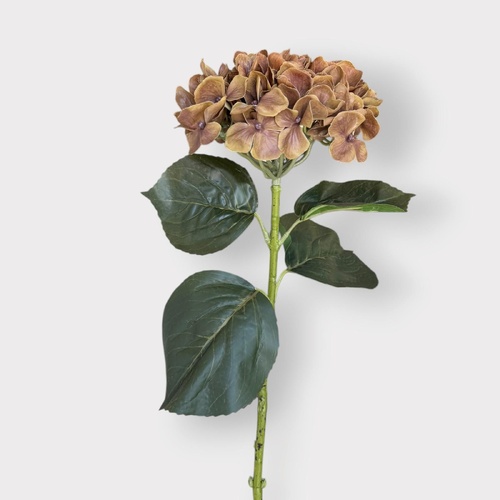RT Hydrangea Stem HF5168BRN