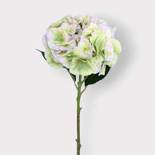 Hydrangea Stem HF5170GRN-P