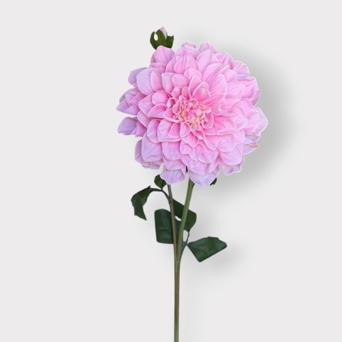 RT Dahlia Stem HF5184PNK