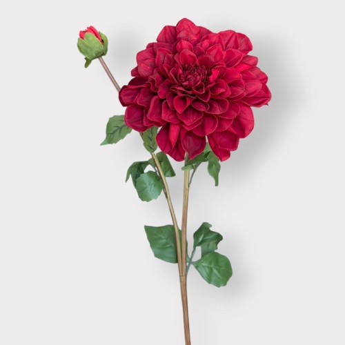 RT Dahlia Stem HF5184RED