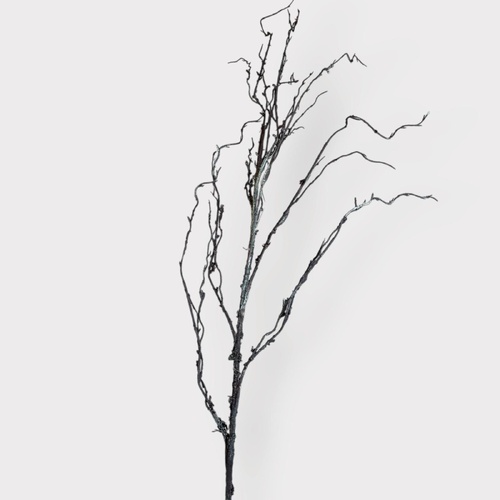 Branch Spray HF5193BRN