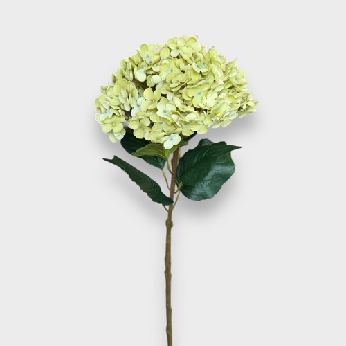 Large Hydrangea HF5419GRN