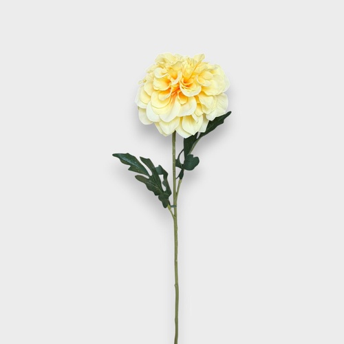 Dahlia Stem HF5438YEL