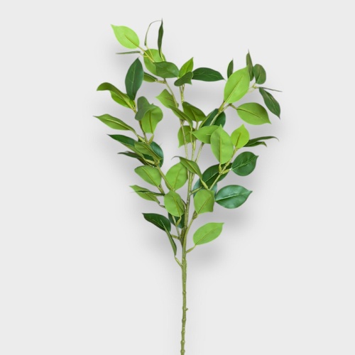 Lemon Leaf Spray HF5455GRN