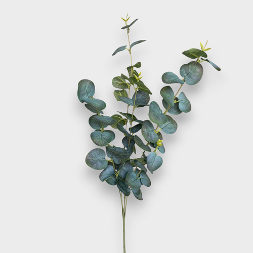 Eucalyptus Spray HF5458GRN