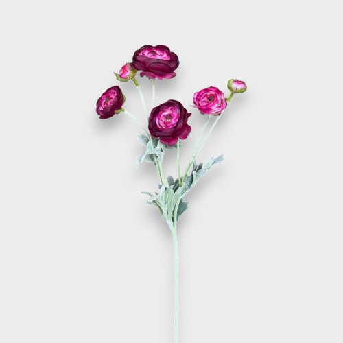 Ranunculus Spray HF5461BUR