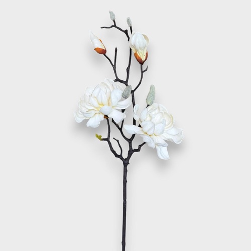 2H Magnolia Spray HF5477CRM