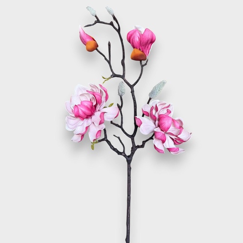 2H Magnolia Spray HF5477HOT