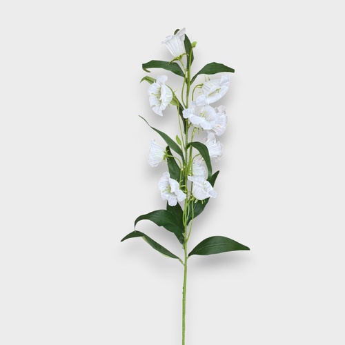 Bell Flower HF5479CRM