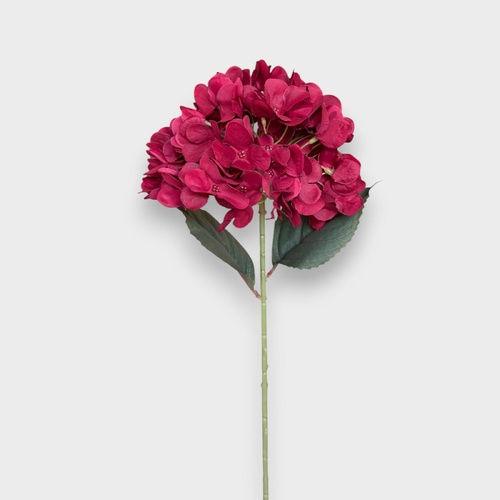 Hydrangea Stem HF5482BUR