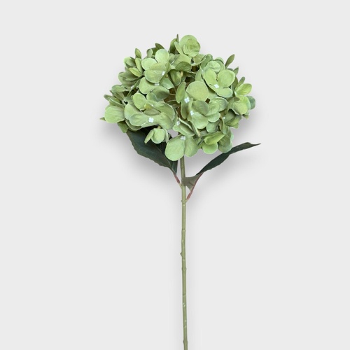 Hydrangea Stem HF5482GRN