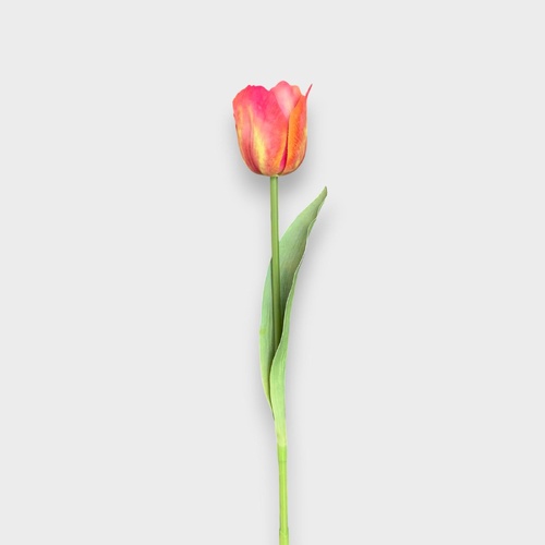 Tulip Stem HF5483ORG